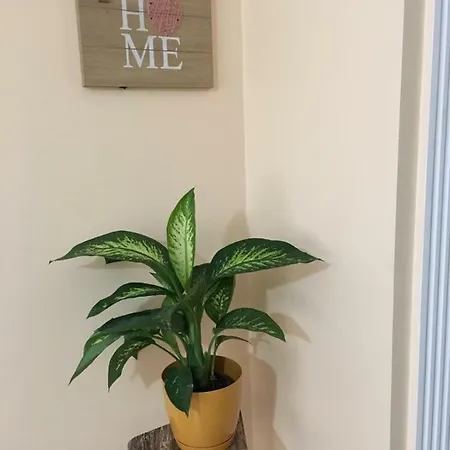דירה Modern Cosy Flat At Sisli With Transportation Service