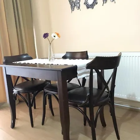 Modern Cosy Flat At Sisli With Transportation Service דירה איסטמבול